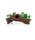 Aquavitro Ceramic Hide B1 (SC-7095)