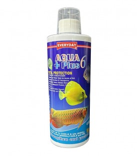 Everyday Aqua Plus 6 (500ml)