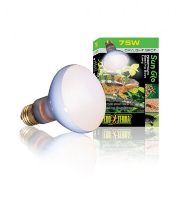 Exo Terra PT2132 Sun Glo NeoDymium Daylight 75W