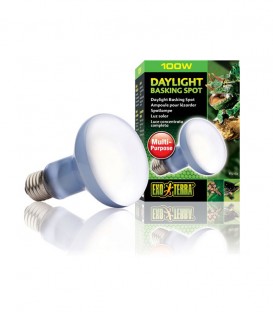 Exo Terra PT2133 Sun Glo NeoDymium Daylight 100W