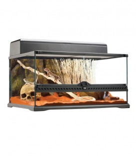 Exo Terra PT2604 Terrarium Medium Low