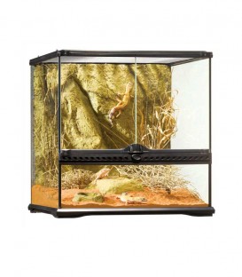 Exo Terra PT2605 Glass Terrarium Small Wide