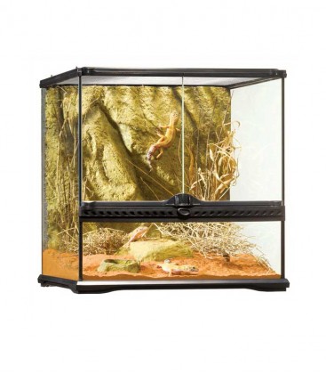 Exo Terra PT2605 Glass Terrarium Small Wide