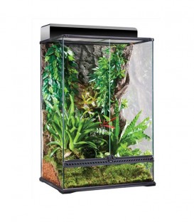 Exo Terra PT2608 Glass Terrarium Medium Tall 60x45x90cm