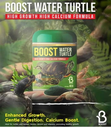 Boost Water Turtle (Stick Pellet Floating) 40g - Turtle Food