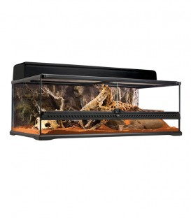 Exo Terra PT2611 Terrarium Large Low