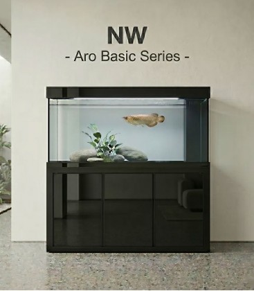 N30 NW Arowana Basic Series B3 / B4 / B5 / B6