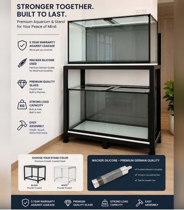 N30 TC Tank 4x2x2ft Euro Bracing 10mm All Japan Glass (2 tier mild steel stand)