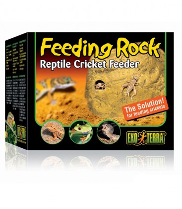Exo Terra Feeding Rock PT2821 - Feed cricket insect to reptile