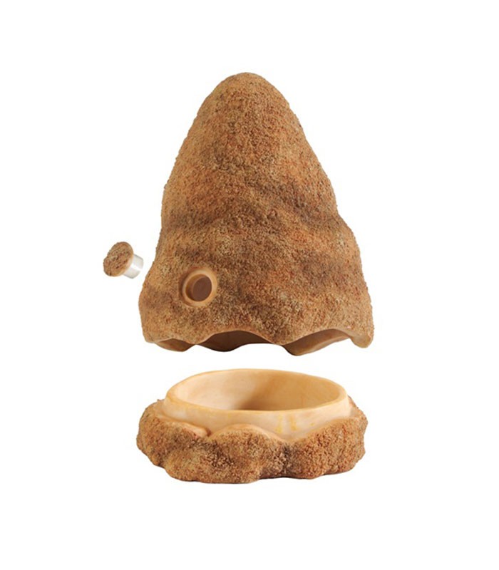 Cricket feeder rock sale