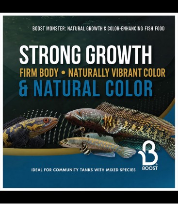 Boost Monster Fish Pellet Food - small and medium