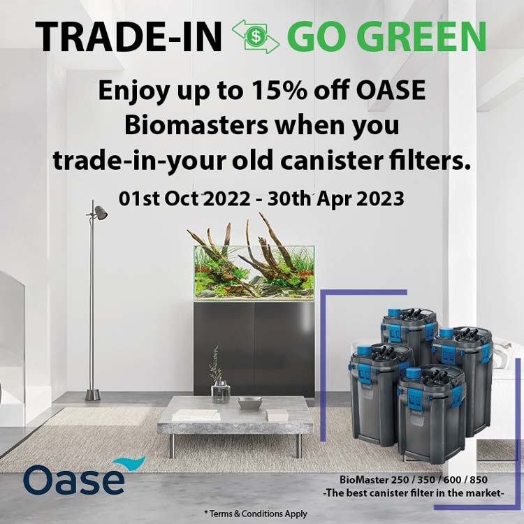15% off OASE Biomasters trade in offer