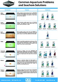Common Aquarium Problems (Seachem Solutions)