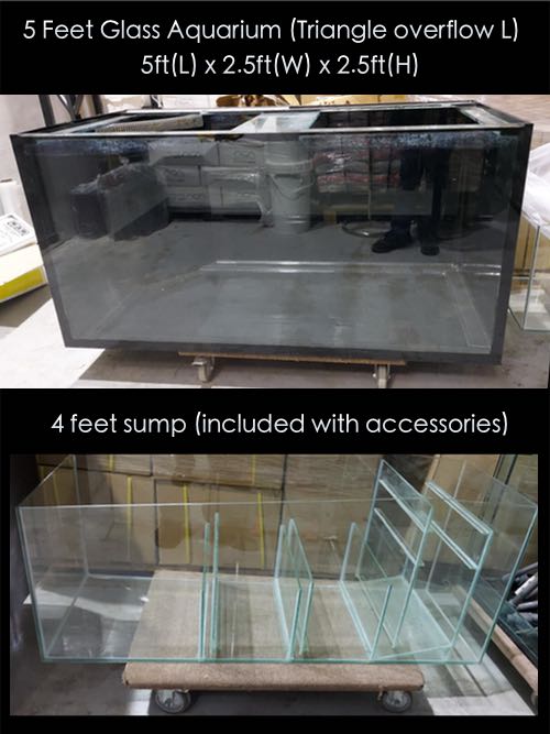 second hand aquarium 5 feet tank with left side triangle overflow