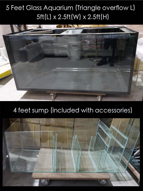 Make Exceptional Design for Fish Ultra-Transparent Glass Aquarium