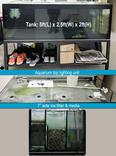 second hand 5ft tank set for sale