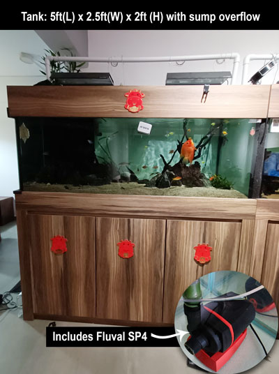 2nd hand aquarium cabinet sump overflow fluval sp4