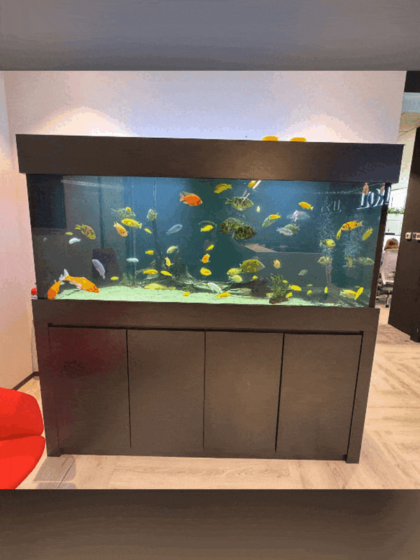 N30 2nd hand 6ft x 2.5ft x 2.5ft for sale