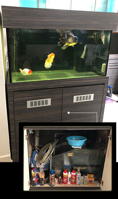 Second Hand Fish Tank For Sale Aquarium Cabinets Singapore N30