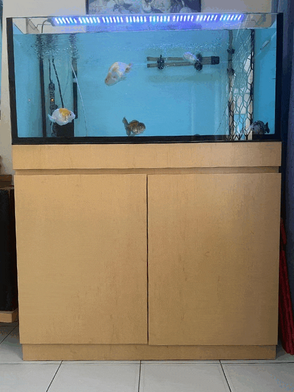 second hand aquarium with cabinet and accessories