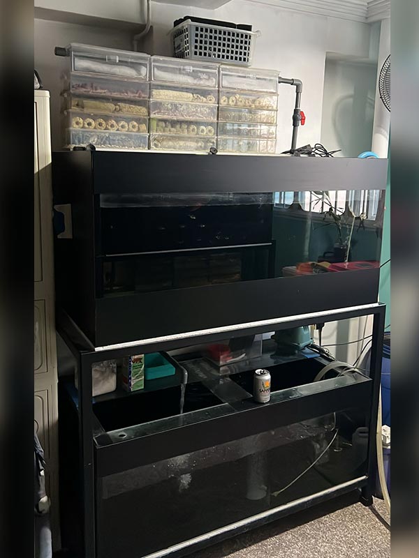 second hand 2-tier aquarium with cabinet and overhead 5-tier filter