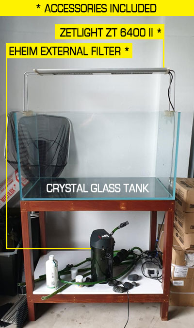 braceless second hand crystal glass tank on solid wooden stand