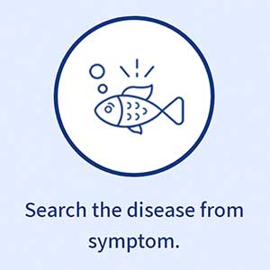 search fish disease from symptom