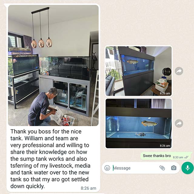 customer feedback N30 aquario tank purchase