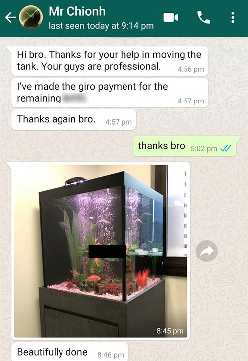 Customer feedbacks that N30 Tank did a beautiful job moving and relocating his fish tank.