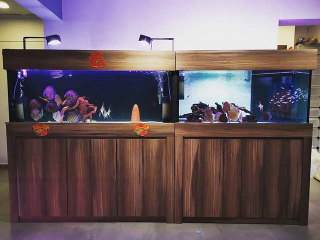 Reviews Testimonials N30 Fish Tank Cabinet Aquarium N30 Tank