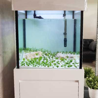 Customer reviews N30 custom made aquarium