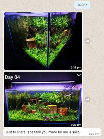 Aquarium - custom made by N30 for Singapore customer