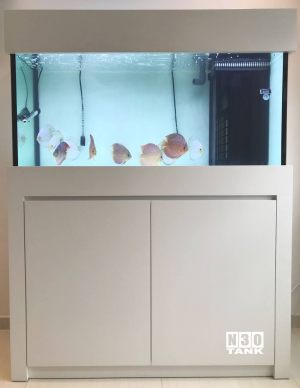 4FT-020 : N30 Discus Comm Tank 4-feet Cabinet Set with Overflow Sump