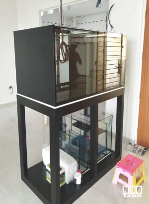 4FT-025: N30 Tank 42 inch (L) x 24 inch (W) x 24 inch (H) overflow sump set (Freshwater set up). This tank is eventually wrapped into a full height aquarium set. Glass thickness 10mm all round.