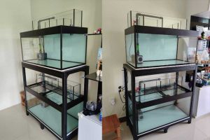 4FT-027: 2 tier 4 feet tank with overhead sump filter (N30 Tank)
