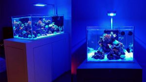 4FT-017 : N30 4-feet tank with AquaIllumination Hydra FiftyTwo™ HD (AI 52 HD) mounted on AI Single Arm Rail