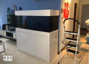 5FT-016: N30 Tank 5ft x 2ft x 2ft arowana tank set with overflow sump