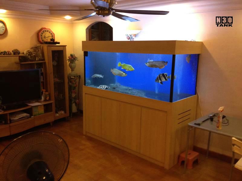 5 Feet Tanks Custommade 5ft Aquarium N30 Tank