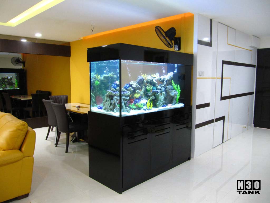 5 Feet Tanks Custommade 5ft Aquarium N30 Tank