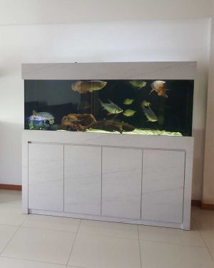 6FT-022: Arowana aquarium with cabinet wrapped in light-marble formica. Fully custom-made by N30 Tank.