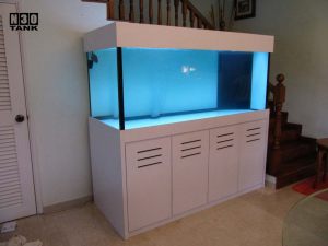 6ft-3 N30 Tank (close up of white cabinet aquarium set)