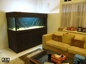 6ft-6 N30 Tank - Classic aquarium set neatly and snugly fitted in corner of living room, next to owner's sofa. The fish tank is a homely enjoyment.