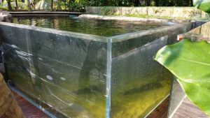 Outdoor Acrylic Aquarium Tank