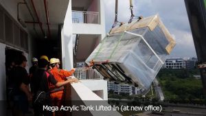 Mega Acrylic Tank Lifted In (at new office)