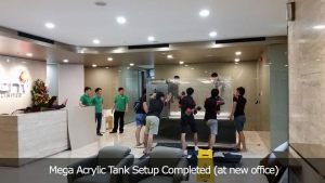 Mega Acrylic Tank Setup Completed (at new office)