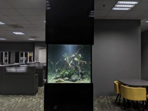 FH-016: This 6-feet full-height aquarium, custom-made by N30 Tank for the company, enhances the interior decor and serves as a partition for a private meeting space.