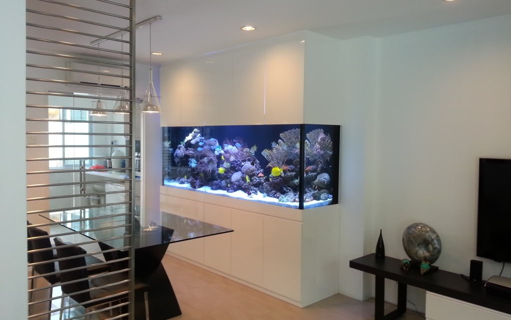 Full Height Tanks Tall Aquarium with floortoceiling N30 Tank
