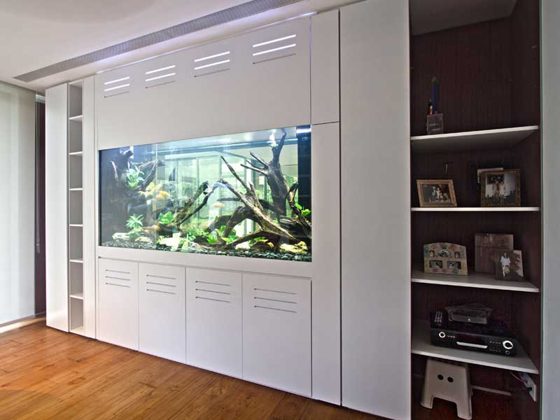 Full Height Tanks Tall Aquarium with floortoceiling N30 Tank