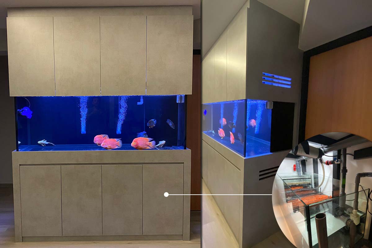 Full Height Tanks Tall Aquarium with floortoceiling N30 Tank