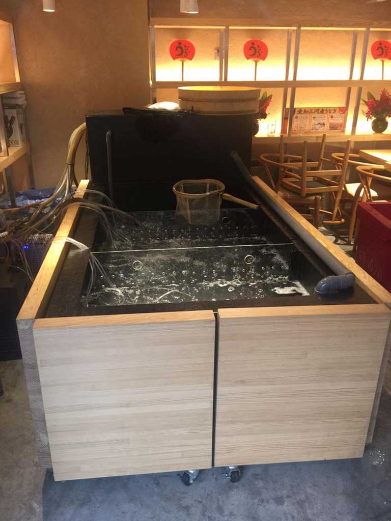 Fiberglass Aquarium Fish Tank Limitless Design Shape Colour N30 Tank